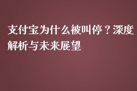 支付宝为什么被叫停？深度解析与未来展望_https://cj001.lansai.wang_会计问答_第1张