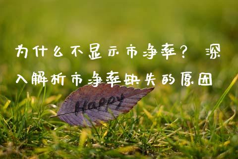 为什么不显示市净率？ 深入解析市净率缺失的原因_https://cj001.lansai.wang_理财问答_第1张