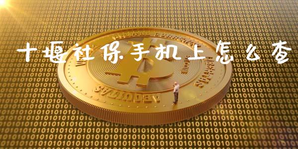 十堰社保手机上怎么查_https://cj001.lansai.wang_保险问答_第1张