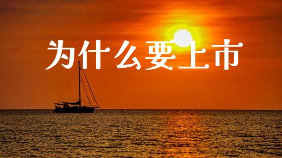为什么要上市_https://cj001.lansai.wang_理财问答_第1张