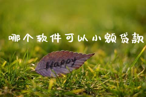 哪个软件可以小额贷款_https://cj001.lansai.wang_期货问答_第1张