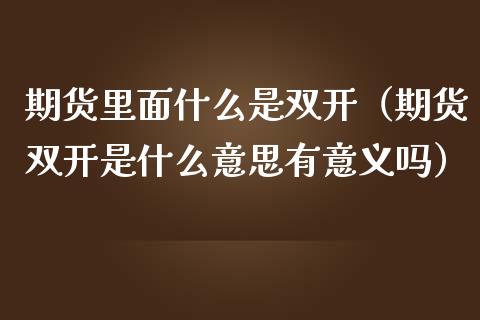 期货里面什么是双开（期货双开是什么意思有意义吗）_https://cj001.lansai.wang_会计问答_第1张
