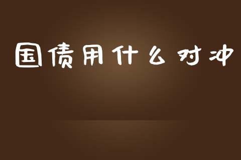 国债用什么对冲_https://cj001.lansai.wang_会计问答_第1张