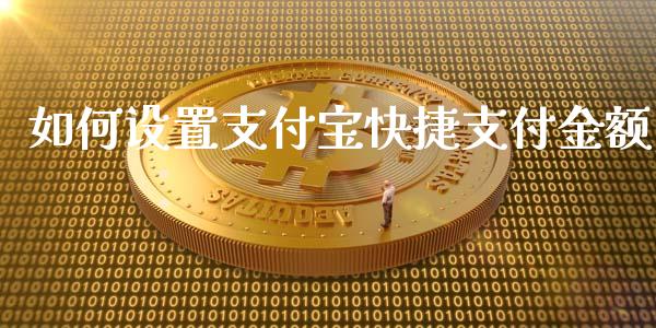 如何设置支付宝快捷支付金额_https://cj001.lansai.wang_理财问答_第1张