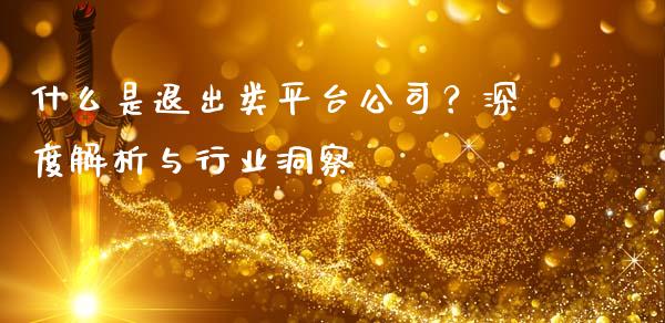 什么是退出类平台公司？深度解析与行业洞察_https://cj001.lansai.wang_理财问答_第1张
