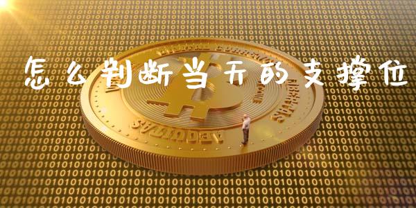 怎么判断当天的支撑位_https://cj001.lansai.wang_财经问答_第1张