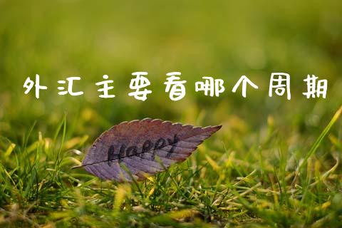 外汇主要看哪个周期_https://cj001.lansai.wang_理财问答_第1张