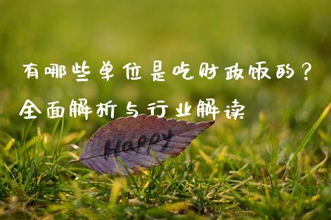有哪些单位是吃财政饭的？全面解析与行业解读_https://cj001.lansai.wang_金融问答_第1张