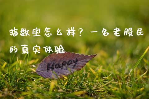 指数宝怎么样？一名老股民的真实体验_https://cj001.lansai.wang_财经百问_第1张