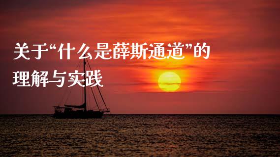 关于“什么是薛斯通道”的理解与实践_https://cj001.lansai.wang_股市问答_第1张