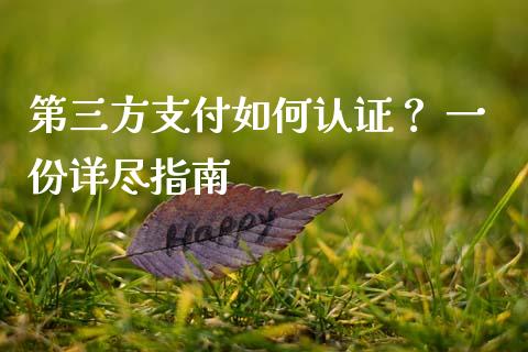 第三方支付如何认证？ 一份详尽指南_https://cj001.lansai.wang_保险问答_第1张