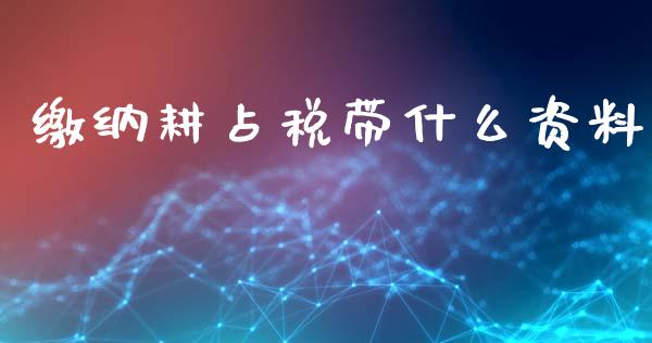 缴纳耕占税带什么资料_https://cj001.lansai.wang_会计问答_第1张
