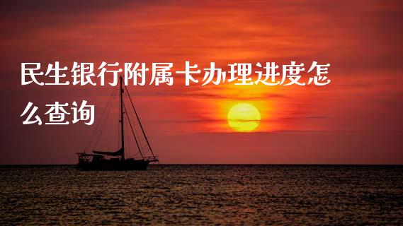 民生银行附属卡办理进度怎么查询_https://cj001.lansai.wang_金融问答_第1张