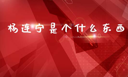杨连宁是个什么东西_https://cj001.lansai.wang_期货问答_第1张