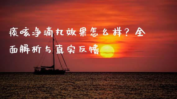 痰咳净滴丸效果怎么样？全面解析与真实反馈_https://cj001.lansai.wang_保险问答_第1张