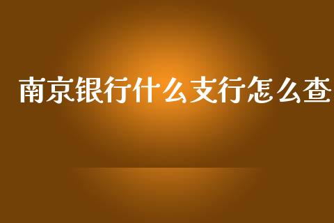 南京银行什么支行怎么查_https://cj001.lansai.wang_金融问答_第1张