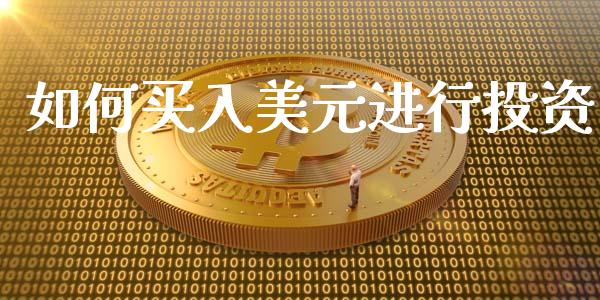 如何买入美元进行投资_https://cj001.lansai.wang_财经问答_第1张