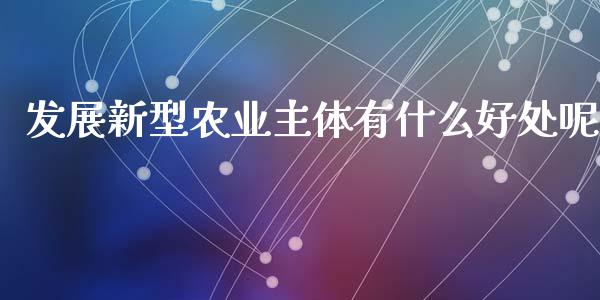 发展新型农业主体有什么好处呢_https://cj001.lansai.wang_期货问答_第1张