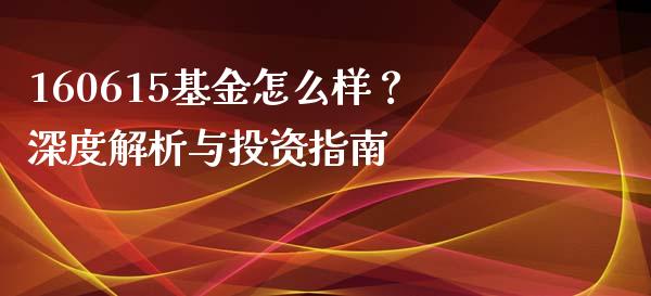 160615基金怎么样？深度解析与投资指南_https://cj001.lansai.wang_会计问答_第1张
