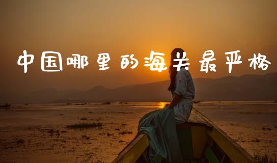 中国哪里的海关最严格_https://cj001.lansai.wang_期货问答_第1张