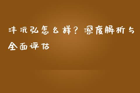 沣沅弘怎么样？深度解析与全面评估_https://cj001.lansai.wang_财经问答_第1张