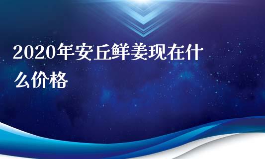 2020年安丘鲜姜现在什么价格_https://cj001.lansai.wang_财经问答_第1张