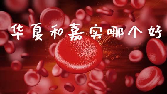 华夏和嘉实哪个好_财经百问_第1张_财经百问网 华夏和嘉实哪个好_https://cj001.lansai.wang_财经百问_第1张