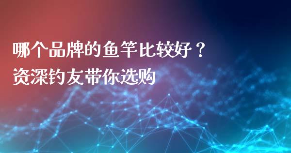 哪个品牌的鱼竿比较好？ 资深钓友带你选购_https://cj001.lansai.wang_财经问答_第1张