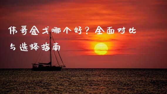 伟哥金戈哪个好？全面对比与选择指南_https://cj001.lansai.wang_理财问答_第1张