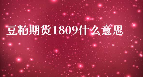 豆粕期货1809什么意思_https://cj001.lansai.wang_期货问答_第1张