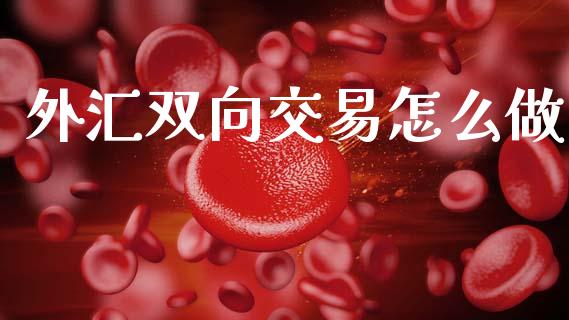 外汇双向交易怎么做_https://cj001.lansai.wang_财经问答_第1张