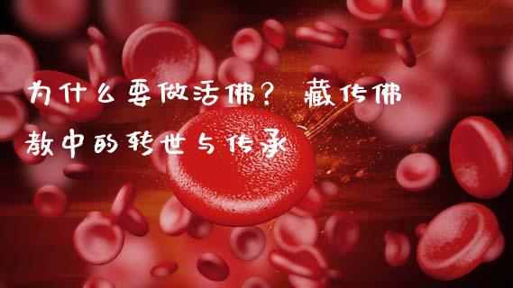 为什么要做活佛？ 藏传佛教中的转世与传承_https://cj001.lansai.wang_理财问答_第1张