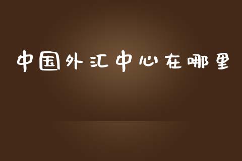 中国外汇中心在哪里_https://cj001.lansai.wang_财经问答_第1张