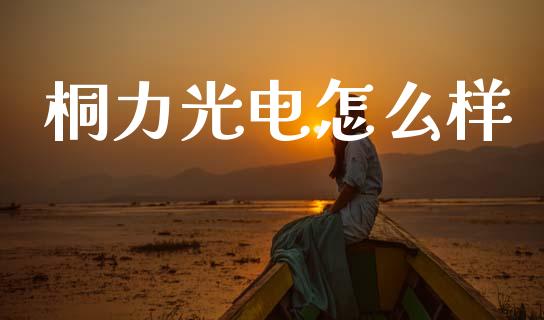 桐力光电怎么样_https://cj001.lansai.wang_期货问答_第1张