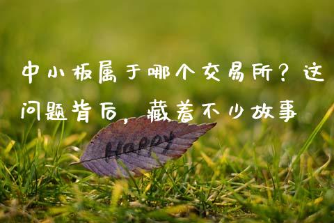中小板属于哪个交易所？这问题背后，藏着不少故事_https://cj001.lansai.wang_会计问答_第1张