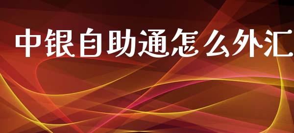 中银自助通怎么外汇_https://cj001.lansai.wang_理财问答_第1张