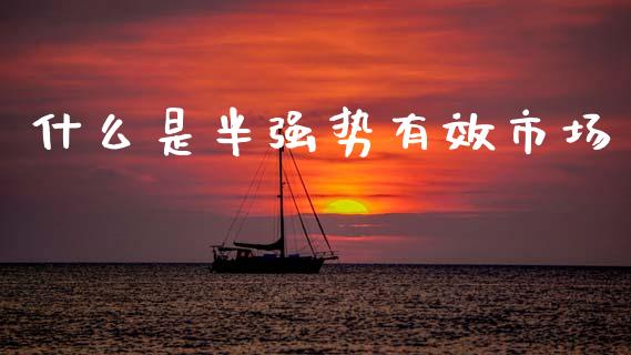 什么是半强势有效市场_https://cj001.lansai.wang_会计问答_第1张