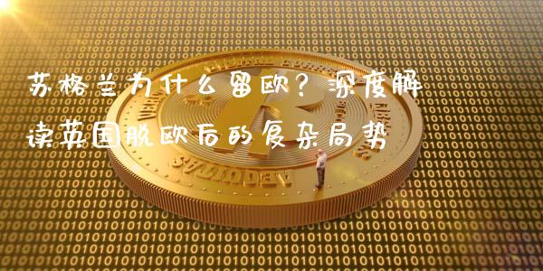 苏格兰为什么留欧？深度解读英国脱欧后的复杂局势_https://cj001.lansai.wang_金融问答_第1张