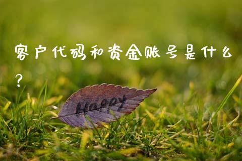 客户代码和资金账号是什么?_理财问答_第1张_财经百问网 客户代码和资金账号是什么?_https://cj001.lansai.wang_理财问答_第1张