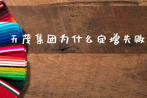 天茂集团为什么定增失败_https://cj001.lansai.wang_财经百问_第1张