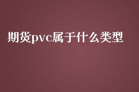 期货pvc属于什么类型_https://cj001.lansai.wang_会计问答_第1张