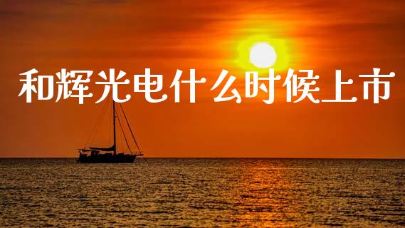 和辉光电什么时候上市_https://cj001.lansai.wang_财经百问_第1张