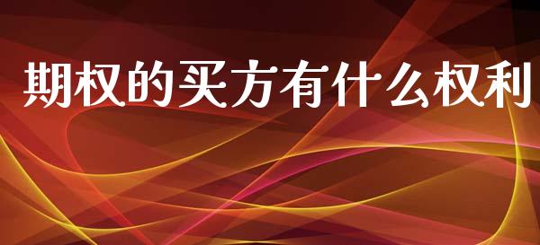 期权的买方有什么权利_https://cj001.lansai.wang_财经百问_第1张