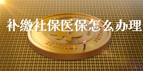 补缴社保医保怎么办理_https://cj001.lansai.wang_保险问答_第1张