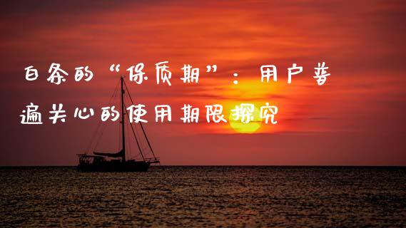 白条的“保质期”：用户普遍关心的使用期限探究_https://cj001.lansai.wang_保险问答_第1张
