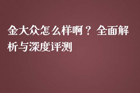 金大众怎么样啊？ 全面解析与深度评测_https://cj001.lansai.wang_财经问答_第1张