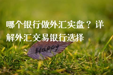 哪个银行做外汇实盘？ 详解外汇交易银行选择_https://cj001.lansai.wang_股市问答_第1张