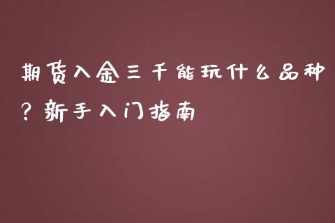 期货入金三千能玩什么品种？新手入门指南_https://cj001.lansai.wang_金融问答_第1张