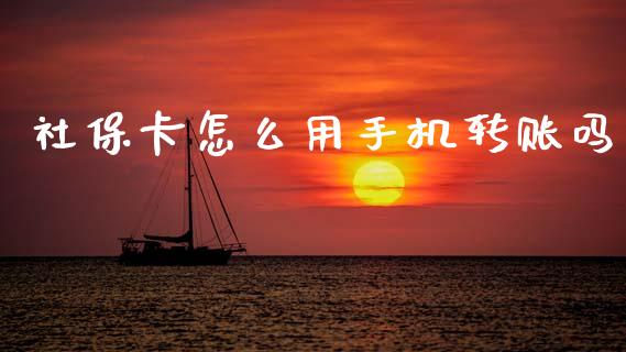 社保卡怎么用手机转账吗_https://cj001.lansai.wang_保险问答_第1张