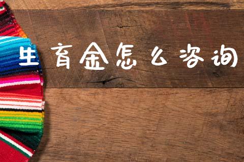 生育金怎么咨询_https://cj001.lansai.wang_保险问答_第1张